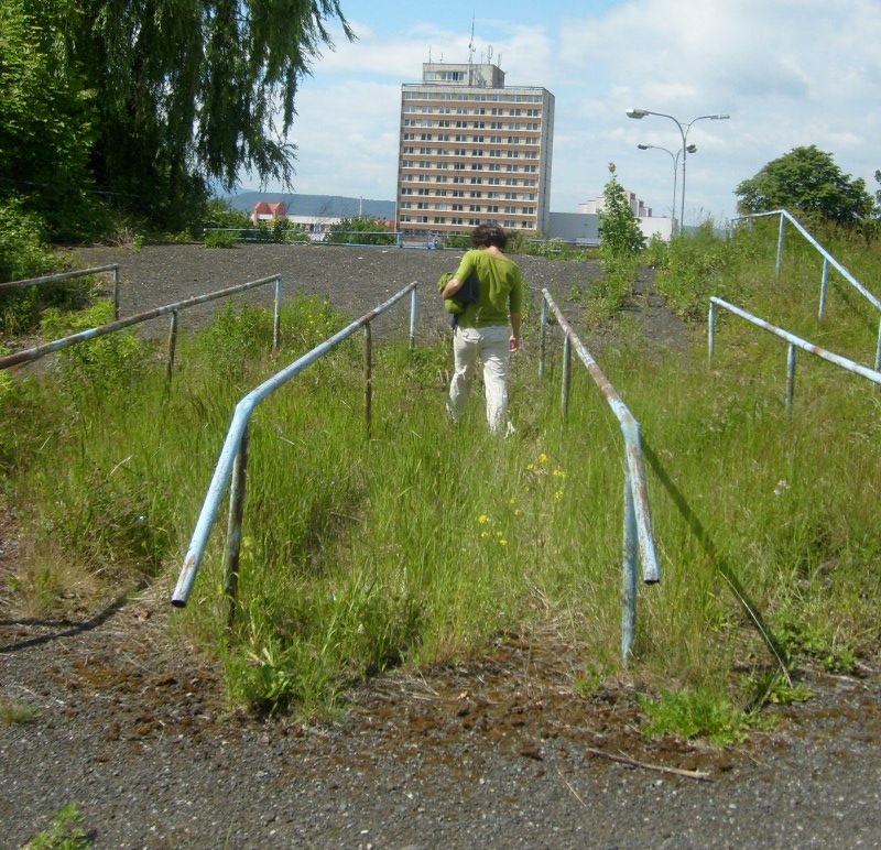 Městská divočina Ústí nad Labem