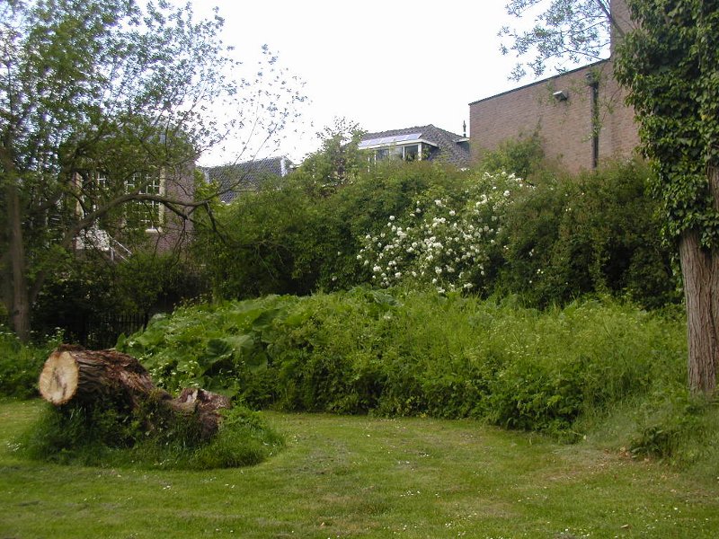 Městský park Wageningen